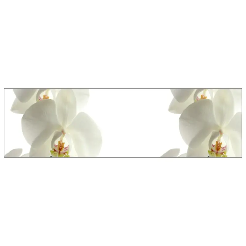 Letzte Chance Küchenrückwand Orchidee