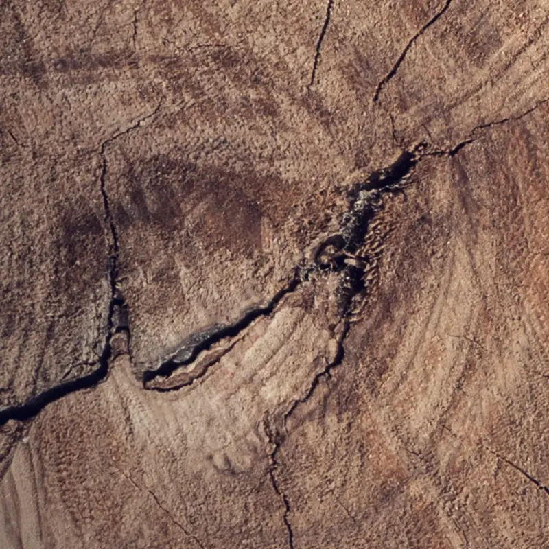 Beliebt Küchenrückwand Holzoptik