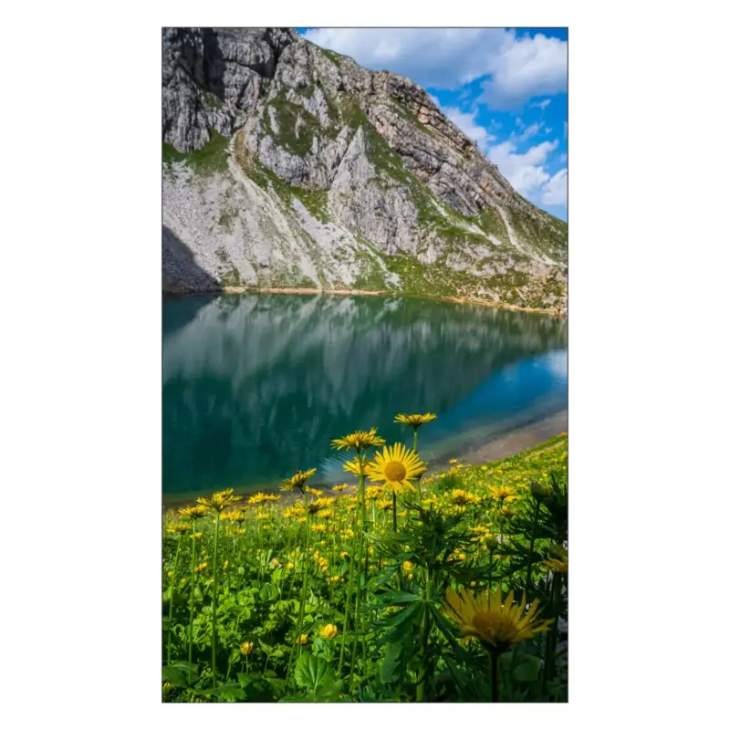 Duschrückwand nach maß Neu