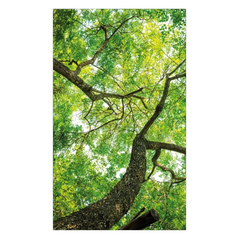 Duschrückwand nach maß Expressversand