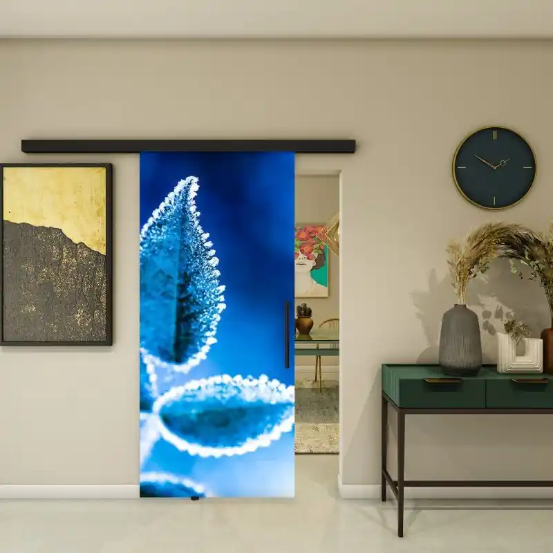 Glasschiebetür BLACK-LINE - Fotoprint Modell 161 Preis Gesenkt