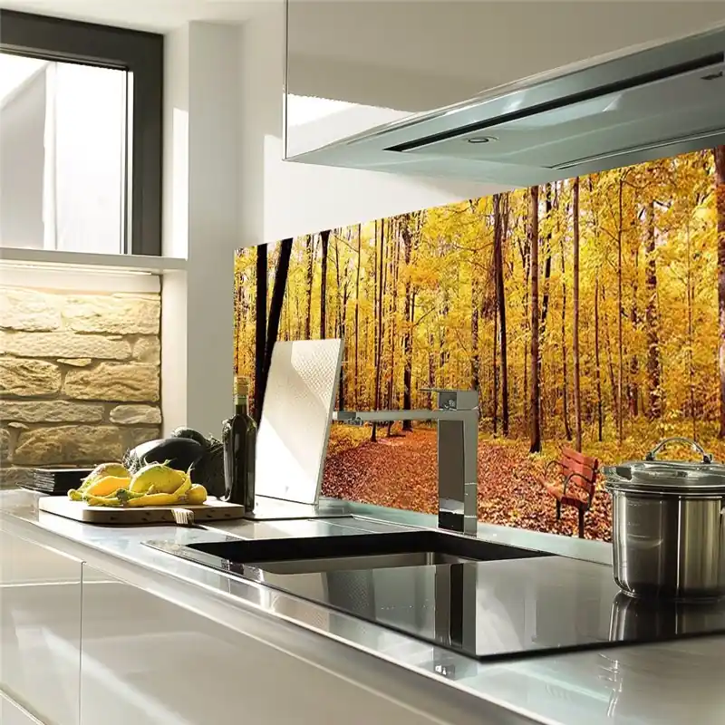 Expressversand Glas Küchenrückwand 6 mm ESG Motive KRWM-0229