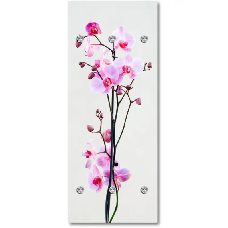 Garderobe - Urte 50x120cm Neu