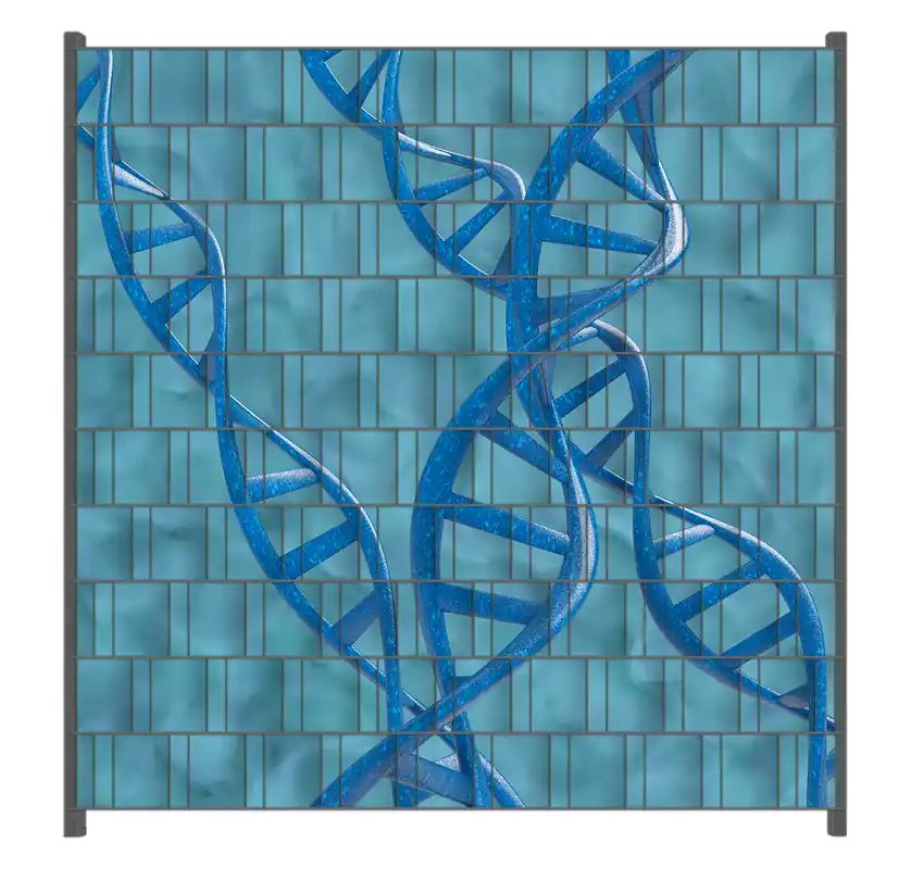 Kracherpreis Zaunsichtschutz DNA-Strang in blau auf türkisem Hintergrund Breite 250 cm x Höhe 200 cm