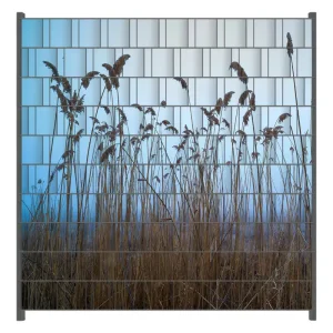 Saisonangebot Zaunsichtschutz Schilfrohr am See vor blauem Himmel Breite 200 cm x Höhe 200 cm