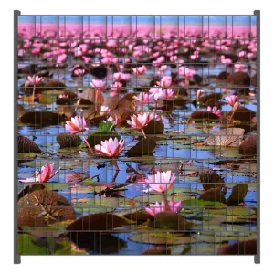 Günstig Zaunsichtschutz Seerosenlandschaft mit rosa Blüten Breite 200 cm x Höhe 200 cm