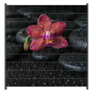 Direktkauf Zaunsichtschutz Orchideen-Blüte auf schwarzen Steinen, benetzt mit Wasser-Tropfen Breite 200 cm x Höhe 200 cm