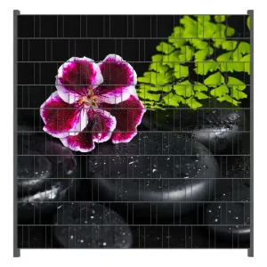 Preiswert Zaunsichtschutz Geranienblüte auf schwarzen Steinen, benetzt mit Wassertropfen Breite 200 cm x Höhe 180 cm