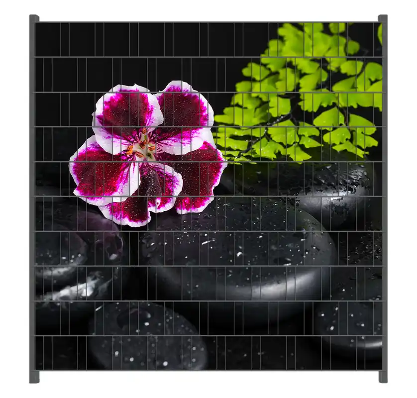 Preiswert Zaunsichtschutz Geranienblüte auf schwarzen Steinen, benetzt mit Wassertropfen Breite 200 cm x Höhe 180 cm