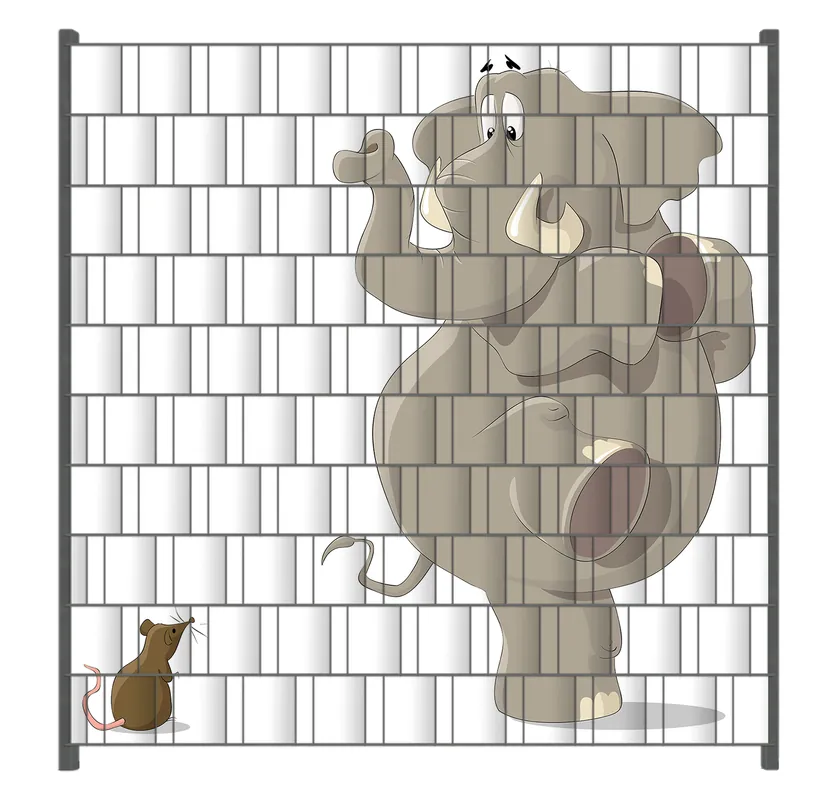 Kostenfreie Lieferung Zaunsichtschutz Elefant erschrickt vor Maus Breite 200 cm x Höhe 140 cm