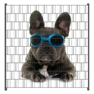 Echt Zaunsichtschutz Cooler Hund mit Sonnenbrille in blau - Französische Bulldogge Breite 200 cm x Höhe 180 cm