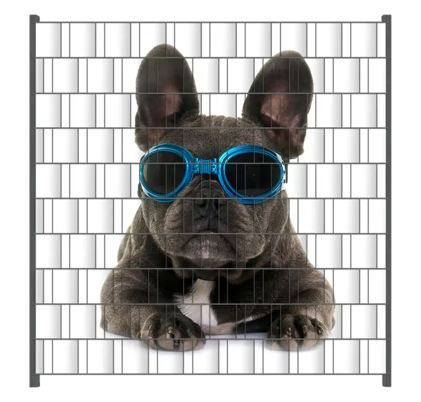 Abverkauf Zaunsichtschutz Cooler Hund mit Sonnenbrille in blau - Französische Bulldogge Breite 200 cm x Höhe 200 cm