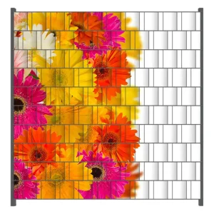 Neu Zaunsichtschutz Bunte Gerberas - pinke, gelbe, rote und weiße Blüten Breite 200 cm x Höhe 140 cm