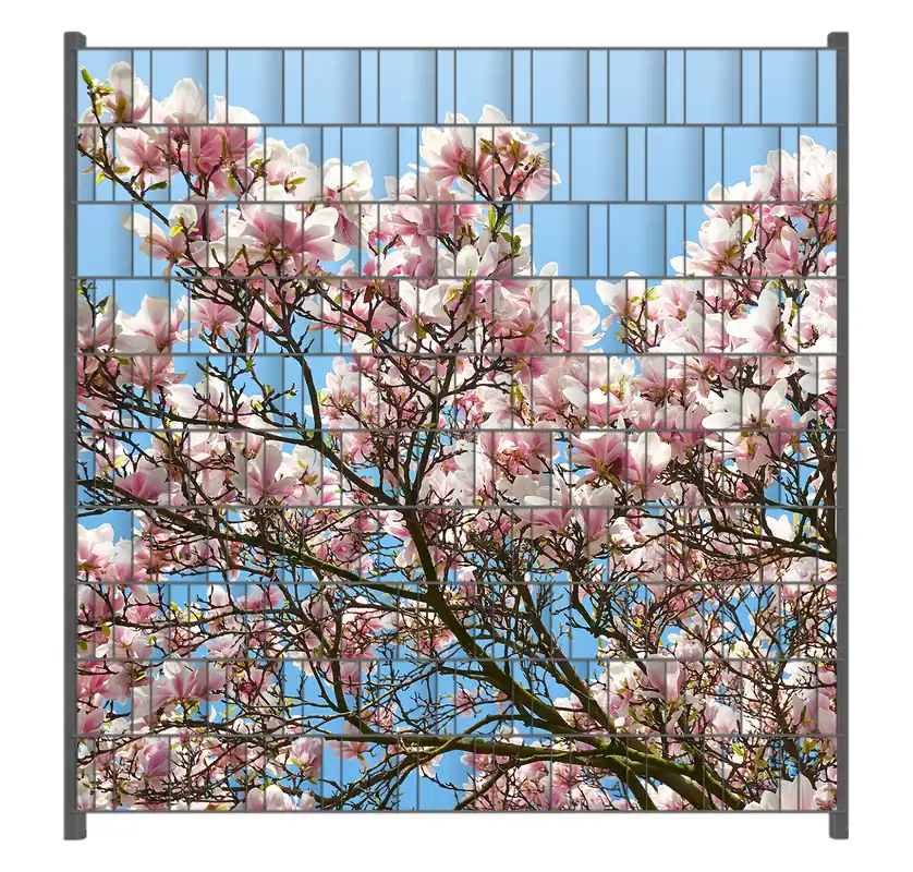 Angebot Zaunsichtschutz Schöne rosa Magnolien-Blüten vor blauem Himmel Breite 200 cm x Höhe 180 cm