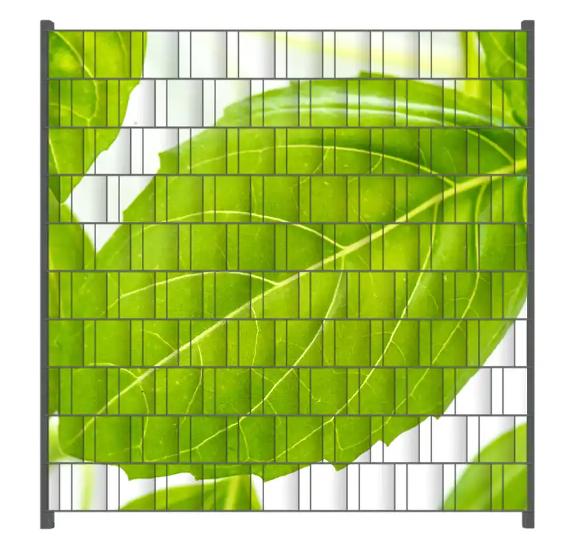 Kostenloser Versand Zaunsichtschutz Frische Basilikumblätter Breite 250 cm x Höhe 140 cm