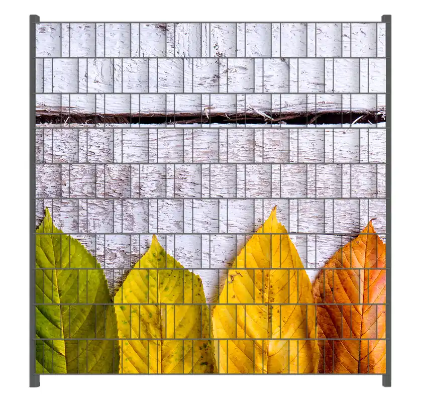 Kracherpreis Zaunsichtschutz Bunte Herbstblätter auf hellem Holz Breite 250 cm x Höhe 140 cm