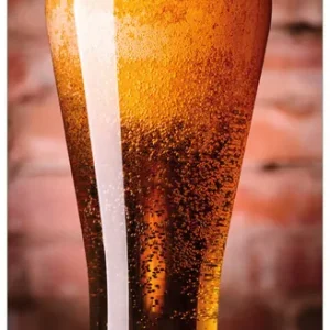 Glasbild Frisches Pils 50 x 125 cm Jetzt Kaufen