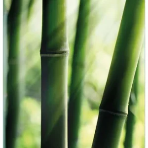 Glasbild Bambuswald und Sonnenstrahlen 70 x 100 cm Markenware