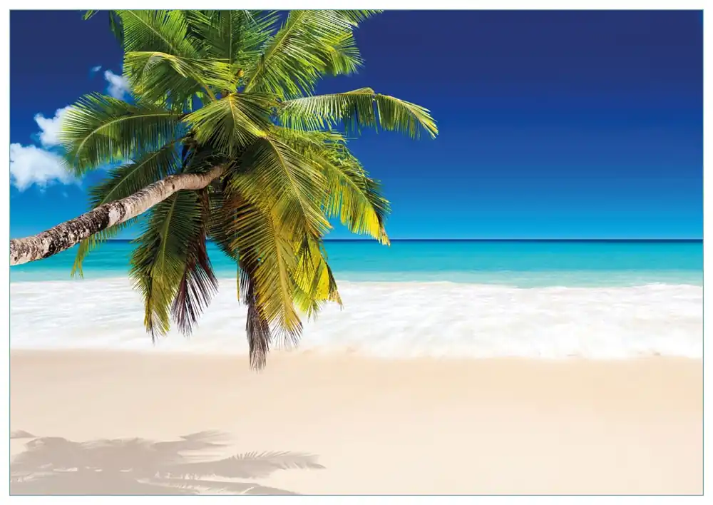 Jetzt Kaufen Glasbild Südseestrand in der Karibik mit Palme 32 x 80 cm