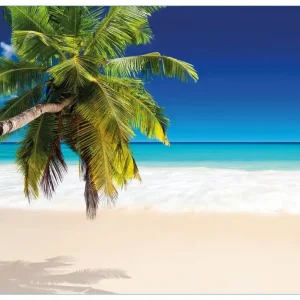 Bestpreis Glasbild Südseestrand in der Karibik mit Palme 50 x 50 cm