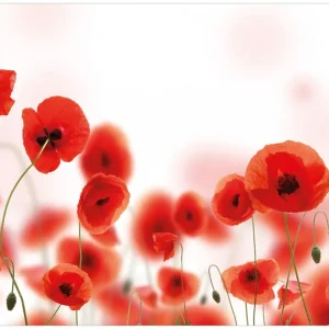 Glasbild Leuchtende Mohnblumen - Rote Mohnblumenblüten 32 x 80 cm Zertifiziert