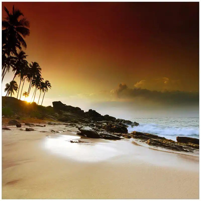 Glasbild Sri Lanka - Palmenstrand mit Sonnenuntergang 50 x 50 cm Top-Seller