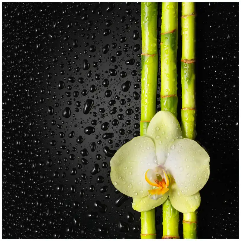 Glasbild Grüne Orchidee mit Bambus auf schwarz - Regentropfen 50 x 50 cm Garantierte Lieferung