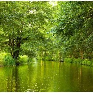 Glasbild Spreewald in Brandenburg grüne Wälder und Spiegelungen im Wasser 50 x 50 cm Geprüft