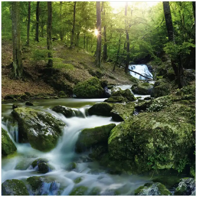 Beliebt Glasbild Fließender Bach im Wald bei Sonnenuntergang 70 x 100 cm