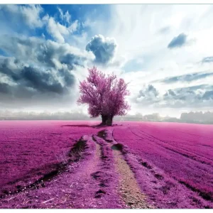 Glasbild Surreales Blumenfeld lila Blumen auf dem Feld 50 x 125 cm Markenware