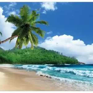 Glasbild Urlaub auf den Seychellen unter Palmen am Sandstrand 60 x 90 cm Bestpreis