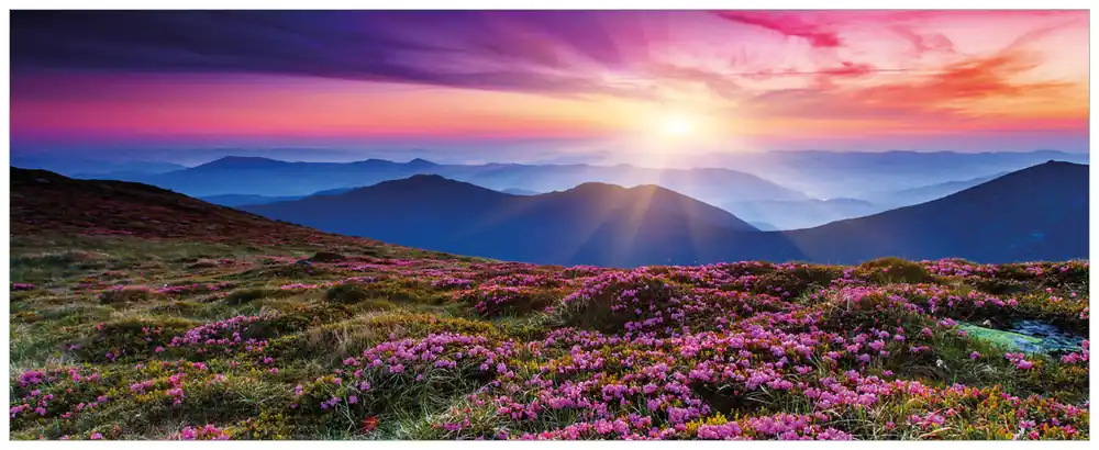 Glasbild Blumenbedeckte Wiese bei Sonnenuntergang 55 x 55 cm Wochenendangebot