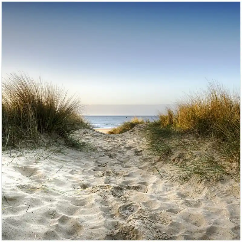 Glasbild Weg durch die Dünen zum Strand am Meer 32 x 80 cm Solange Der Vorrat Reicht