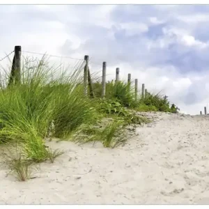 Billig Glasbild Auf dem Weg zum Strand durch Dünen 55 x 55 cm