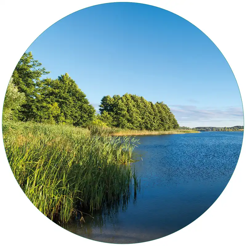 Günstig Glasbild Malerischer See mit Schilf unter blauem Himmel 30 x 30 cm