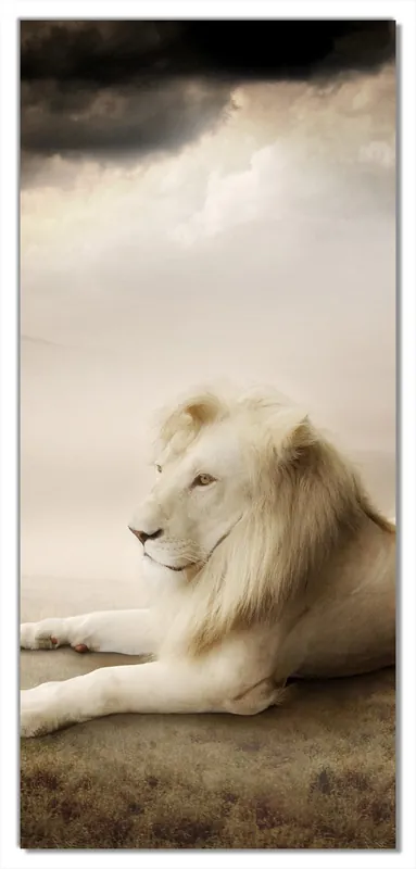Must-Have Selbstklebende Türtapete Stattlicher ruhender Löwe in Afrika in Sepiafarben selbstklebende Folie, 93 x 205 cm