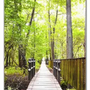 Billig Selbstklebende Türtapete Spaziergang im Wald Holzweg über einen Fluss selbstklebende Folie, 93 x 205 cm