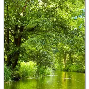 Selbstklebende Türtapete Spreewald in Brandenburg grüne Wälder und Spiegelungen im Wasser selbstklebende Folie, 93 x 205 cm Sofort Bestellen