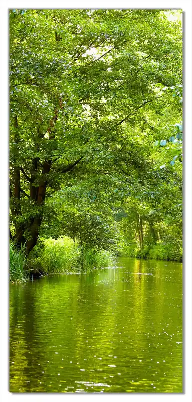 Selbstklebende Türtapete Spreewald in Brandenburg grüne Wälder und Spiegelungen im Wasser selbstklebende Folie, 93 x 205 cm Sofort Bestellen
