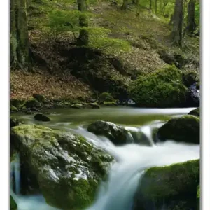 Bestseller Selbstklebende Türtapete Fließender Bach im Wald bei Sonnenuntergang selbstklebende Folie, 93 x 205 cm