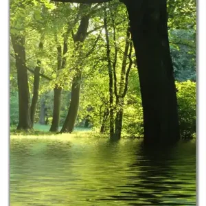 Gratis Versand Selbstklebende Türtapete Idyllischer See im Wald bei Sonnenschein selbstklebende Folie, 93 x 205 cm