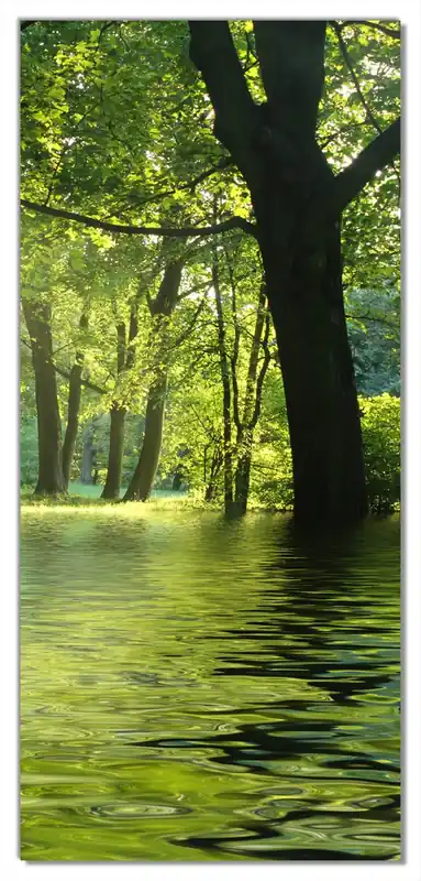 Gratis Versand Selbstklebende Türtapete Idyllischer See im Wald bei Sonnenschein selbstklebende Folie, 93 x 205 cm