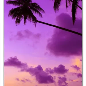 Selbstklebende Türtapete Sonnenuntergang unter Palmen Himmel in lila und orange selbstklebende Folie mit Schutzlaminat, 93 x 205 cm Preisknaller