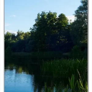 Selbstklebende Türtapete Malerischer See mit Schilf unter blauem Himmel selbstklebende Folie, 93 x 205 cm Solange Der Vorrat Reicht