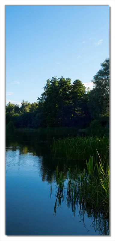 Selbstklebende Türtapete Malerischer See mit Schilf unter blauem Himmel selbstklebende Folie, 93 x 205 cm Solange Der Vorrat Reicht