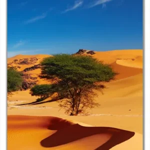 Heißes Angebot Selbstklebende Türtapete In der Wüste Sahara selbstklebende Folie, 93 x 205 cm