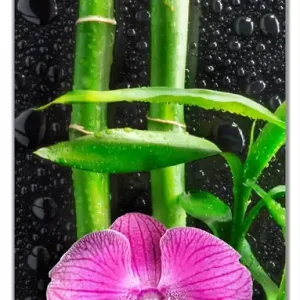 Expressversand Selbstklebende Türtapete Bambus und pinke Orchidee auf schwarzem Glas mit Regentropfen selbstklebende Folie, 93 x 205 cm