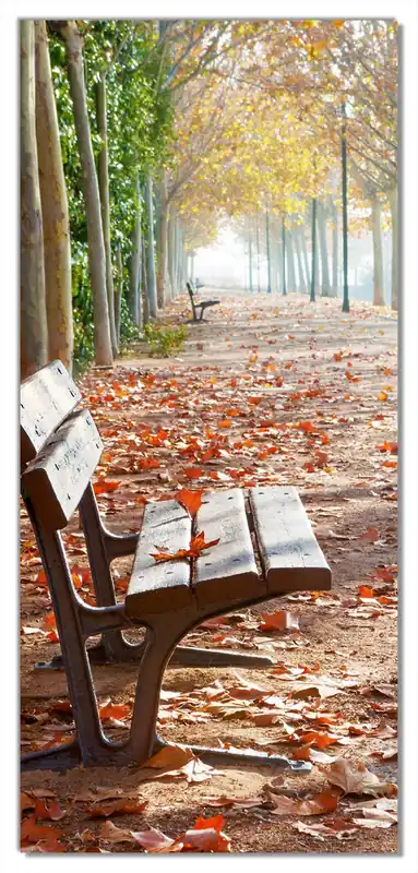 Selbstklebende Türtapete Einsame Parkbank an einer Allee - Herbststimmung selbstklebende Folie mit Schutzlaminat, 93 x 205 cm Direktkauf