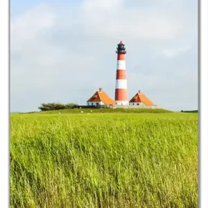 Jetzt Kaufen Selbstklebende Türtapete Kleiner Bach durch Schilf auf dem Weg zum Leuchtturm selbstklebende Folie mit Schutzlaminat, 93 x 205 cm