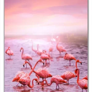 Angebot Selbstklebende Türtapete Rosa Flamingos bei Sonnenuntergang selbstklebende Folie, 93 x 205 cm